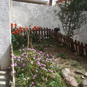  Casa vacanze Orchidea House