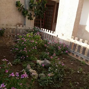  Casa vacanze Orchidea House